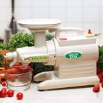 Tribest Greenstar Original Basic GS-1000-B