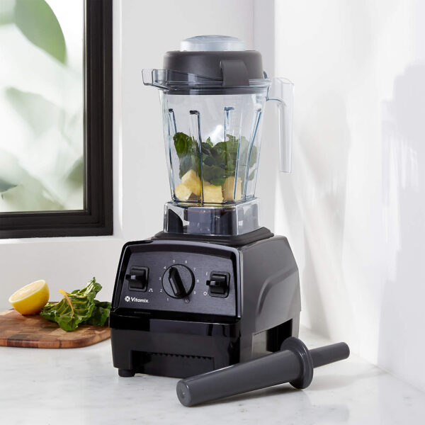 Vitamix E310
