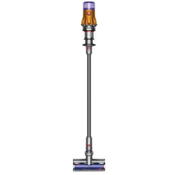 Dyson V12