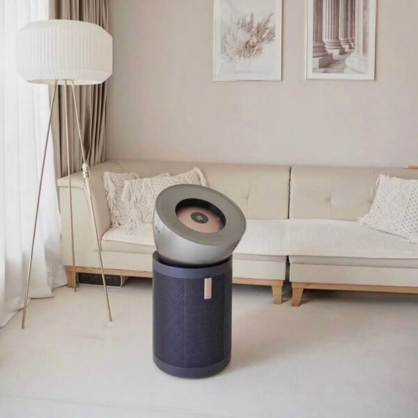 Dyson BP03